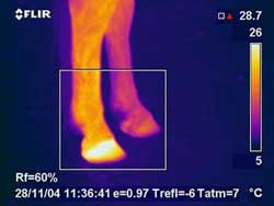 Thermografie